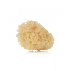 esponja natural de jane pack de 2