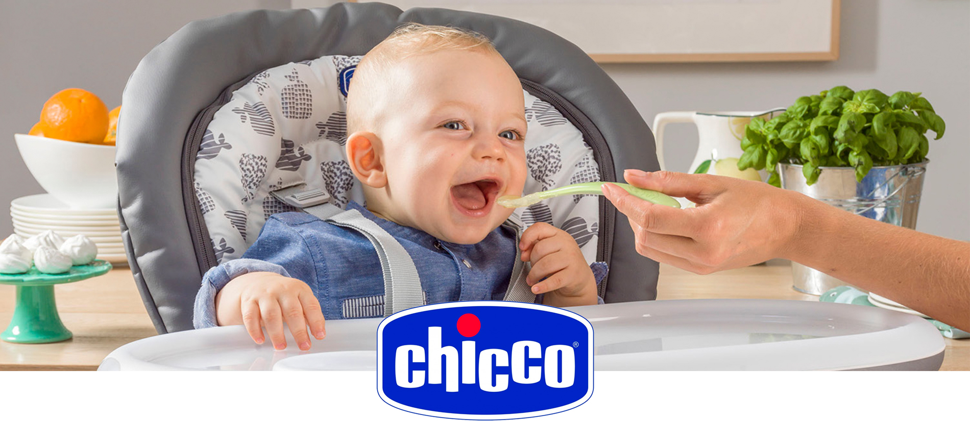 Chicco 