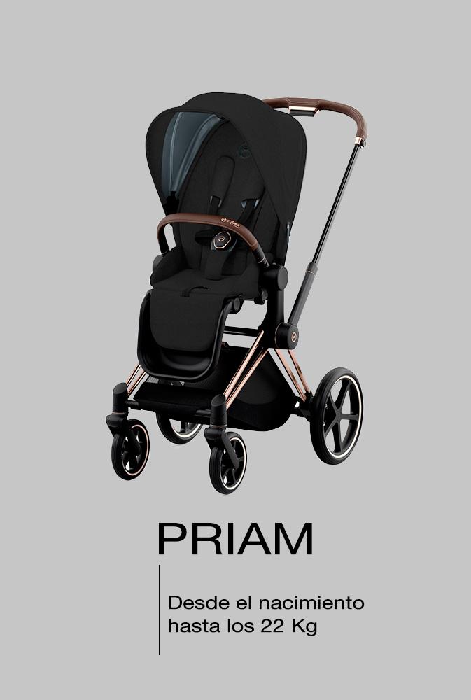 carrito cybex priam