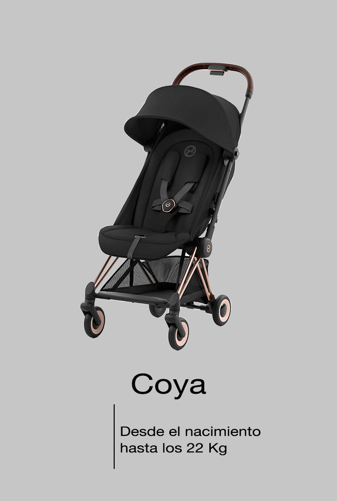 silleta paseo Coya
